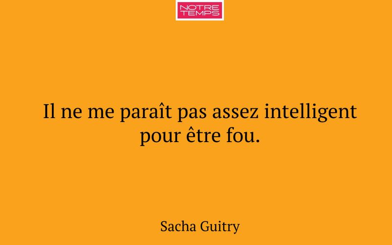 Il ne me paraît pas assez intelligent pour être fou.