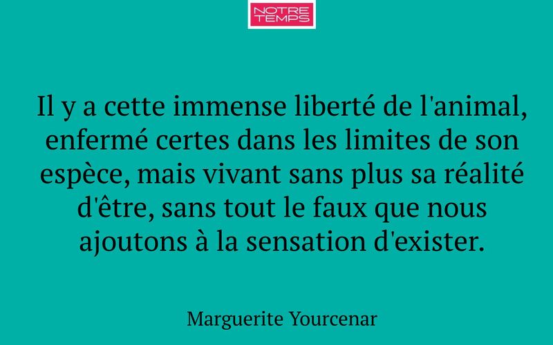 Il y a cette immense liberté de l'animal, enfermé certes dans les limites de son espèce, mais vivant sans plus sa réalité d'être, sans tout le faux que nous ajoutons à la sensation d'exister.