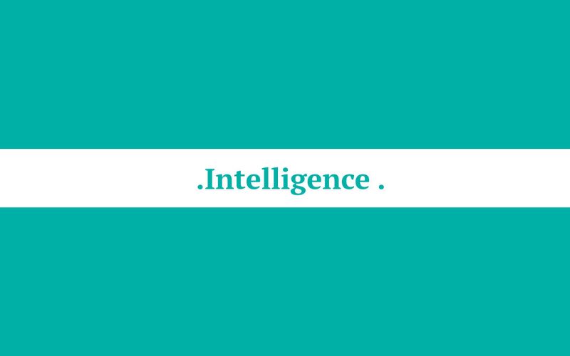 Intelligence