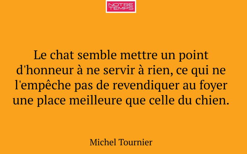 Le chat semble mettre un point d'honneur à ne servir à rien, ce qui ne l'empêche pas de revendiquer au foyer une place meilleure que celle du chien.