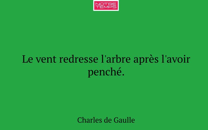 Le vent redresse l'arbre après l'avoir penché.