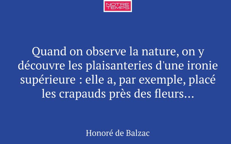 Quand on observe la nature, on y découvre les plaisanteries d'une ironie supérieure : elle a, par exemple, placé les crapauds près des fleurs…