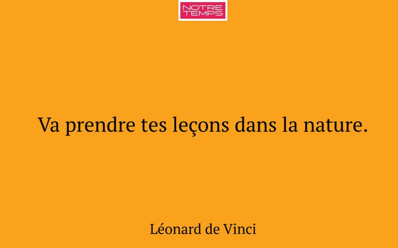 Va prendre tes leçons dans la nature.