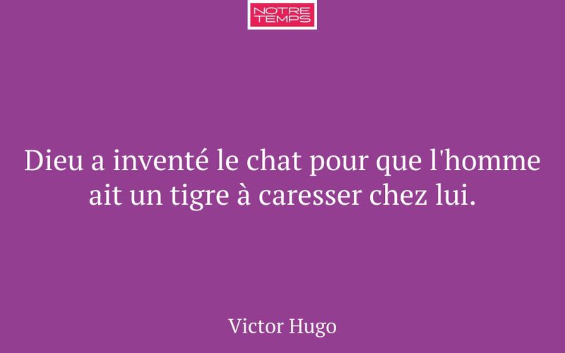 Dieu a inventé le chat pour que l'homme ait un tigre à caresser chez lui.
