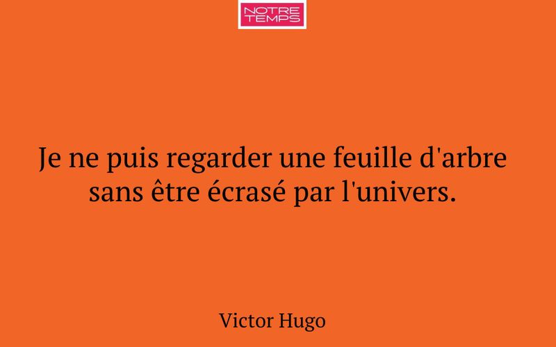 Je ne puis regarder une feuille d'arbre sans être écrasé par l'univers.