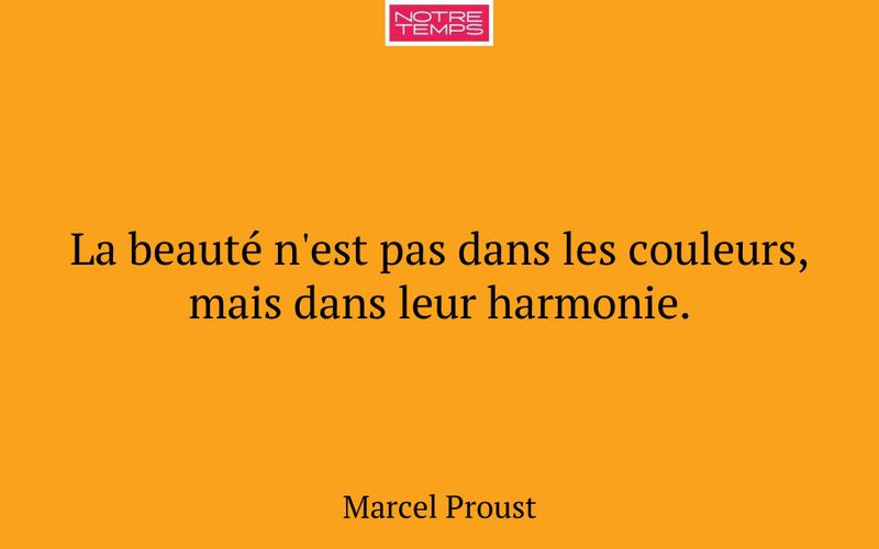 La beauté n'est pas dans les couleurs, mais dans leur harmonie.