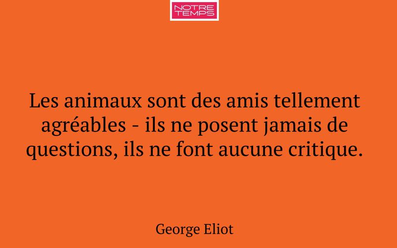 Les animaux sont des amis tellement agréables - ils ne posent jamais de questions, ils ne font aucune critique.