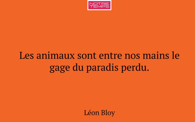 Les animaux sont entre nos mains le gage du paradis perdu.