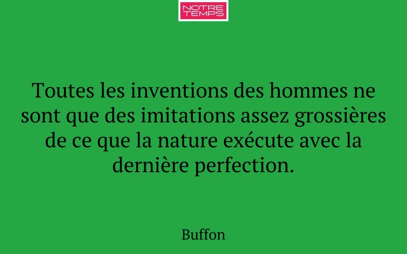 Toutes les inventions des hommes ne sont que des imitations assez grossières de ce que la nature exécute avec la dernière perfection.