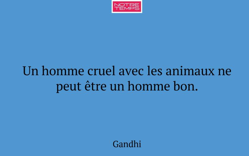 Un homme cruel avec les animaux ne peut être un homme bon.